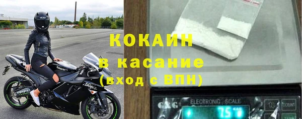 шишки Елизово