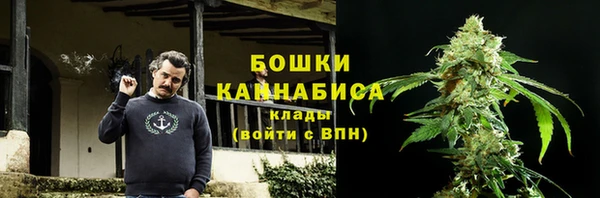шишки Елизово