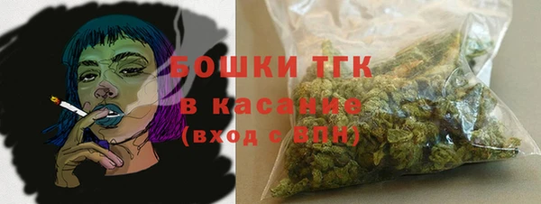 шишки Елизово