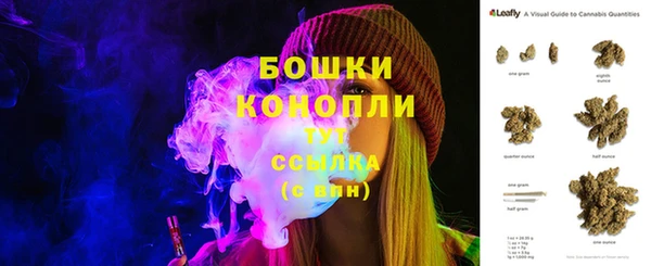 шишки Елизово