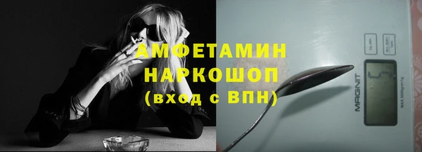 шишки Елизово