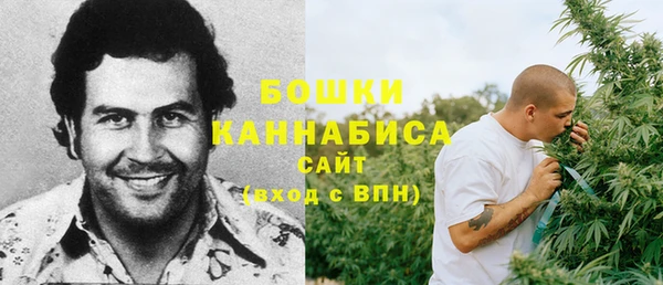 герыч Ельня