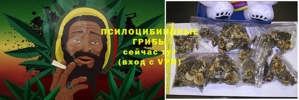 дурь Елабуга